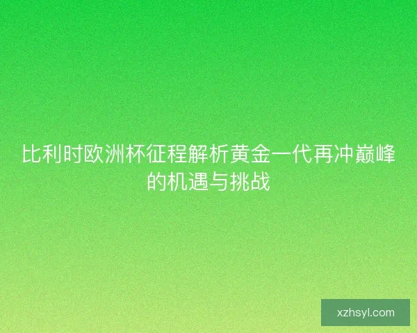 比利时欧洲杯征程解析黄金一代再冲巅峰的机遇与挑战
